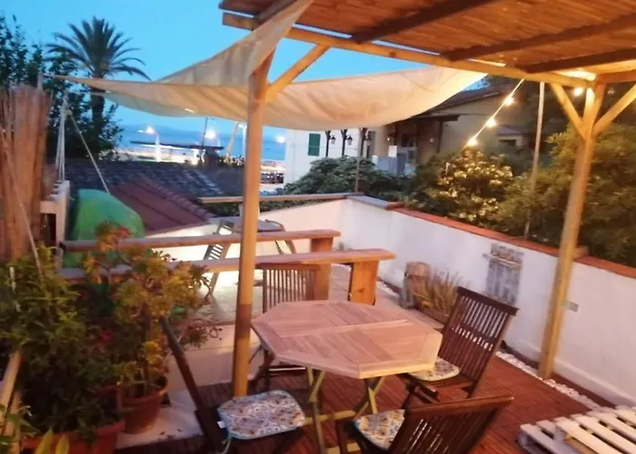 6 卡沃