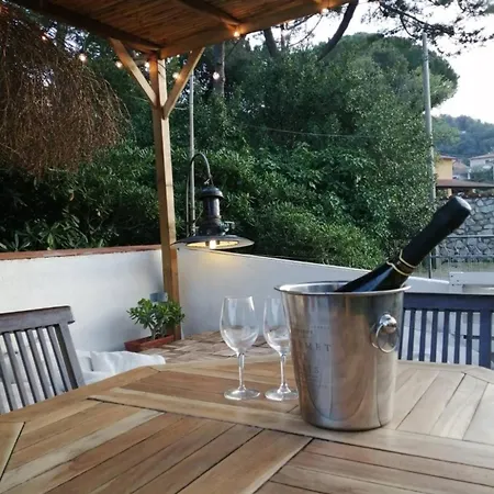 6 * 카보
